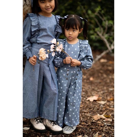 NWT Wren Amber Clothing Sarah Ruffle Long Sleeve Blouse: Chambray Star: Size 3 - Picture 3 of 3